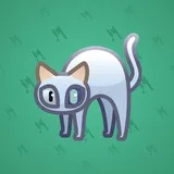 Scared Cat #1587 Scared Cat #1587