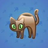 Scared Cat #15948 Scared Cat #15948
