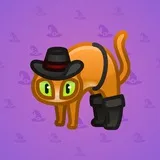 Scared Cat #15978 Scared Cat #15978