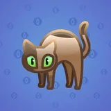 Scared Cat #16017 Scared Cat #16017