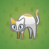 Scared Cat #16044 Scared Cat #16044