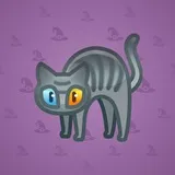 Scared Cat #16213 Scared Cat #16213