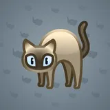 Scared Cat #16226 Scared Cat #16226
