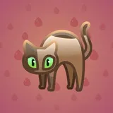 Scared Cat #16392
