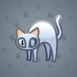 Scared Cat #16559 Scared Cat #16559