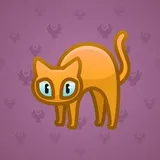 Scared Cat #16564 Scared Cat #16564