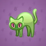Scared Cat #16620 Scared Cat #16620