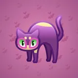 Scared Cat #16763 Scared Cat #16763