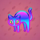 Scared Cat #16847 Scared Cat #16847