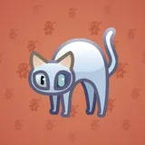 Scared Cat #16903 Scared Cat #16903