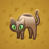 Scared Cat #17103 Scared Cat #17103