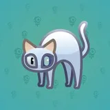 Scared Cat #17154 Scared Cat #17154