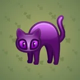 Scared Cat #1719 Scared Cat #1719