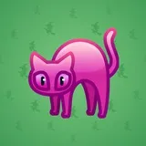 Scared Cat #17220 Scared Cat #17220
