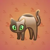 Scared Cat #17286 Scared Cat #17286