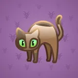 Scared Cat #17320 Scared Cat #17320