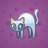 Scared Cat #17345 Scared Cat #17345