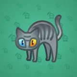 Scared Cat #17363
