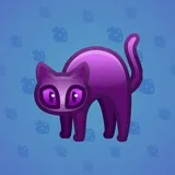 Scared Cat #17407