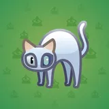 Scared Cat #17484 Scared Cat #17484