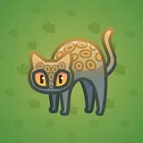 Scared Cat #17565 Scared Cat #17565