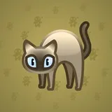 Scared Cat #17751 Scared Cat #17751