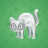 Scared Cat #2013