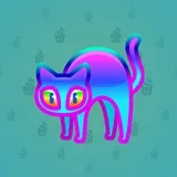 Scared Cat #2088 Scared Cat #2088