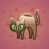 Scared Cat #2337