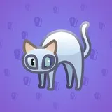 Scared Cat #2349