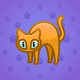 Scared Cat #2552 Scared Cat #2552