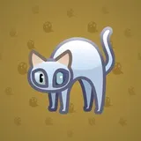 Scared Cat #2640