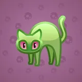 Scared Cat #3356 Scared Cat #3356