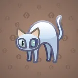 Scared Cat #3392 Scared Cat #3392