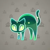 Scared Cat #3404 Scared Cat #3404