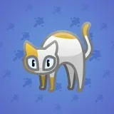 Scared Cat #3433 Scared Cat #3433