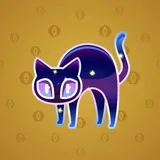 Scared Cat #3544 Scared Cat #3544