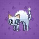 Scared Cat #3589 Scared Cat #3589