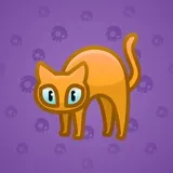 Scared Cat #3718 Scared Cat #3718