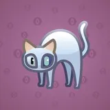 Scared Cat #3727 Scared Cat #3727