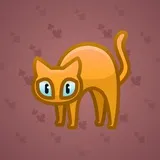 Scared Cat #3733 Scared Cat #3733