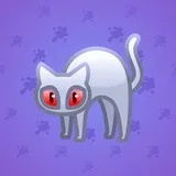 Scared Cat #3778 Scared Cat #3778