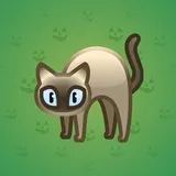 Scared Cat #3783 Scared Cat #3783
