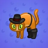 Scared Cat #3865 Scared Cat #3865