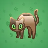 Scared Cat #3870 Scared Cat #3870