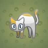 Scared Cat #4323 Scared Cat #4323