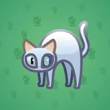 Scared Cat #4478