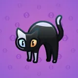 Scared Cat #4508