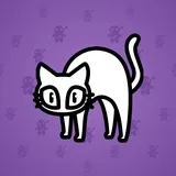 Scared Cat #4542 Scared Cat #4542