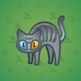 Scared Cat #4649 Scared Cat #4649